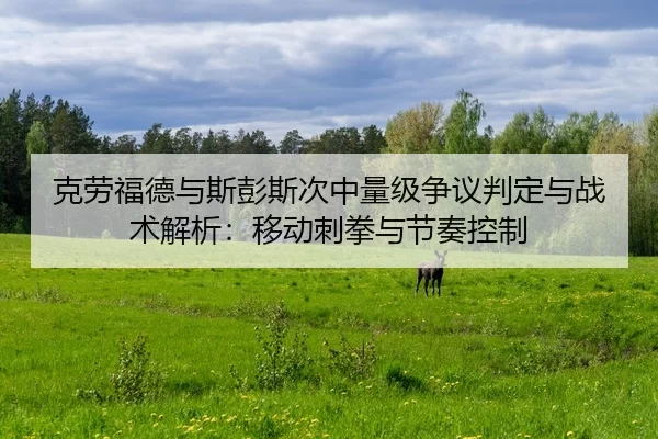 ke-lao-fu-de-yu-si-peng-si-ci-zhong-liang-ji-zheng-yi-pan-ding-yu-zhan-shu-jie-xi-yi-dong-ci-quan-yu-jie-zou-kong-zhi-2-919.jpg